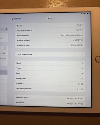 Apple Ipad