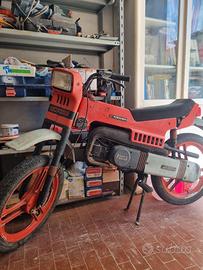 Fantic Motor