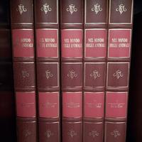 Nel mondo degli animali