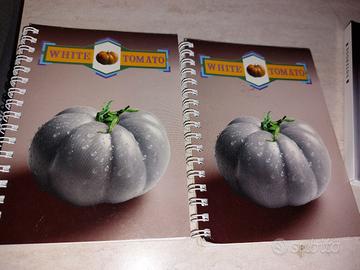 Quadernini (3) in A6 veg line e drink line Ruggeri