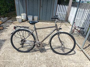bicicletta da uomo