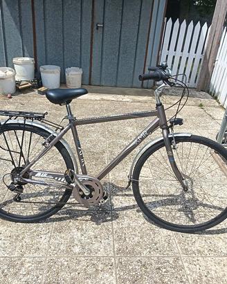 bicicletta da uomo