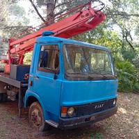 piattaforma aerea carro scala