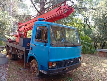 piattaforma aerea carro scala