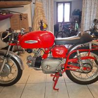 Aermacchi Ala Verde 250