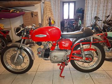 Aermacchi Ala Verde 250