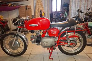 Aermacchi Ala Verde 250