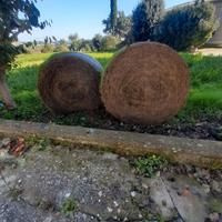 Fieno primo taglio 2025 per cavalli