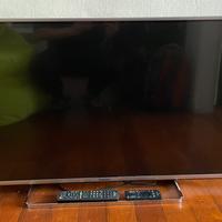 TV Panasonic 42” - SCHERMO ROTTO