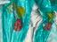 Immagine 5