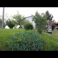 Cascinale nell'astigiano