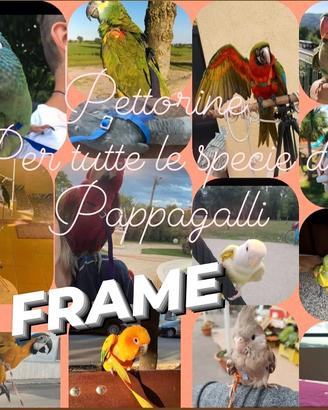 Pettorine per Pappagalli dalla cocorita all'ara