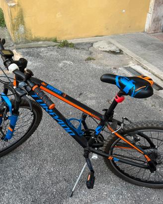 Mountain bike bicicletta Torpado jaguaro raggio 24