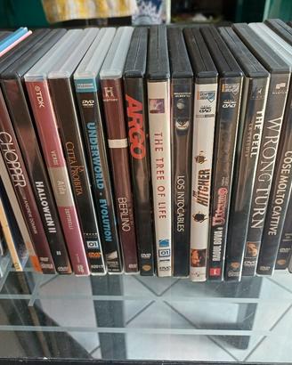 lotto dvd 