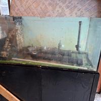 disponibile acquario 450 litri 