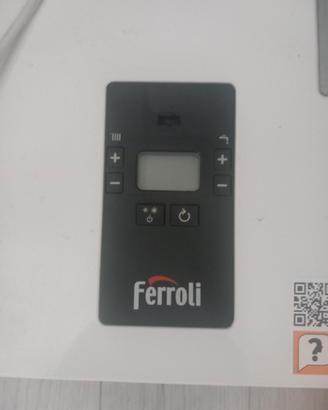 caldaia ferroli gpl da sostituire la.valvola gas,i