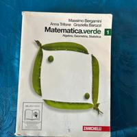 Matrmatica.verde 1