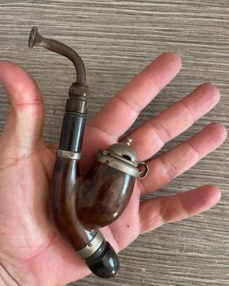 Pipa Alpina