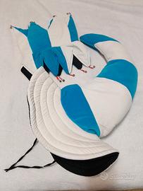 Coppia cappelli goliardici