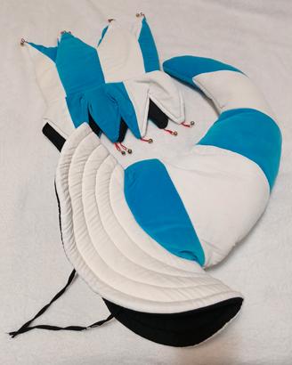 Coppia cappelli goliardici