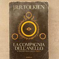 Il Signore degli Anelli - La Compagnia dell'Anello