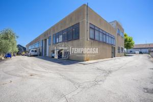 Capannone a Morrovalle Via romagna 6 locali