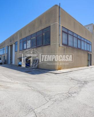 Capannone a Morrovalle Via romagna 6 locali