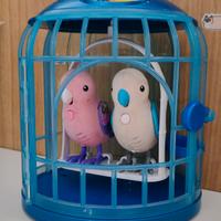 Coppia di Cocoritos con gabbietta