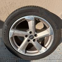 Crechi Audi 18”