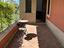 Immagine 8