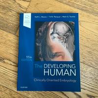 Embriology, the developing human