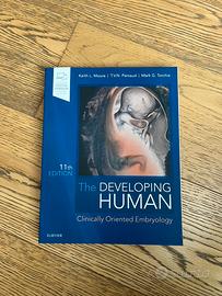 Embriology, the developing human