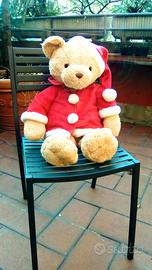 Orso CHICCO