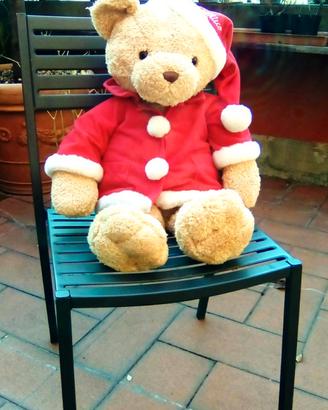 Orso CHICCO