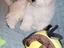 Immagine 3