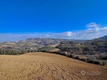 Terreno con casolare rudere