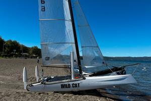 HOBIE WILD CAT