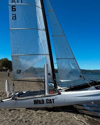 HOBIE WILD CAT