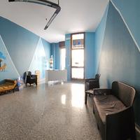 Vendita Toelettatura