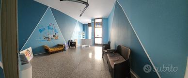 Vendita Toelettatura