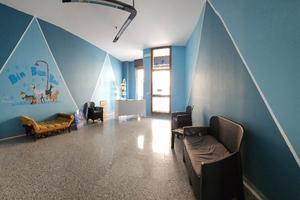 Vendita Toelettatura