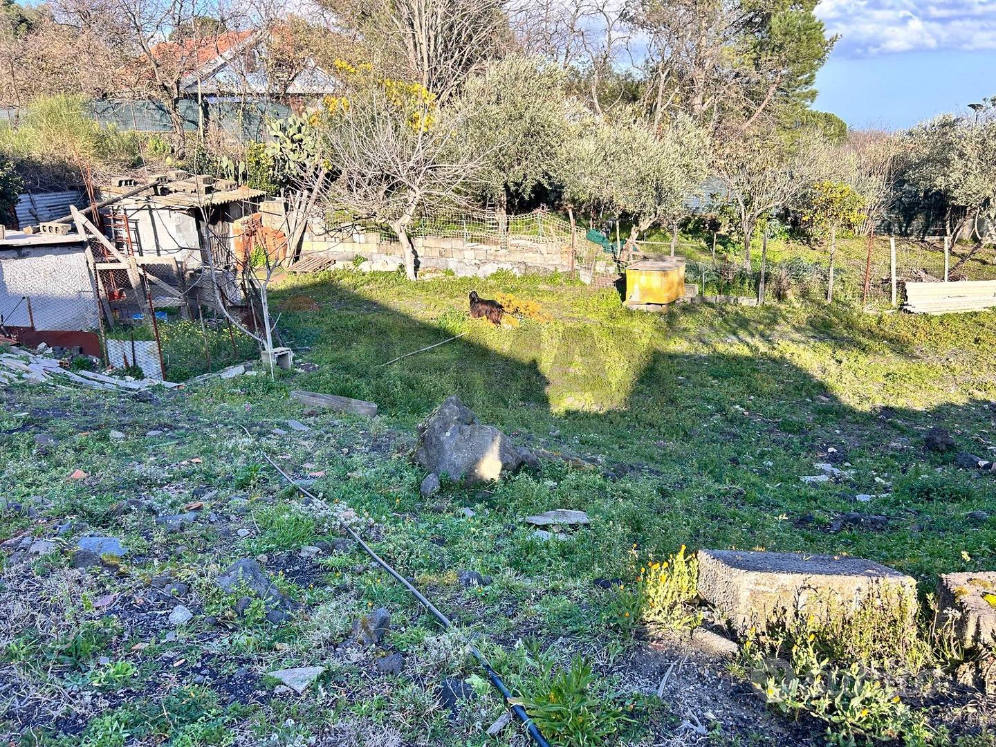 Terreno - Pedara - Vista 4