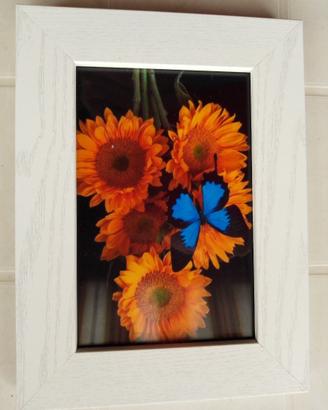 Foto girasoli con portaritratto S/8