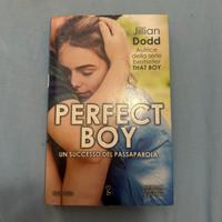 Romanzo d’amore: perfect boy