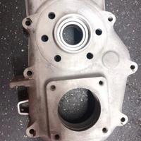 differenziale ape 50 