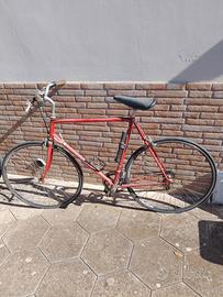 biciclette 