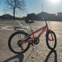bicicletta da 20