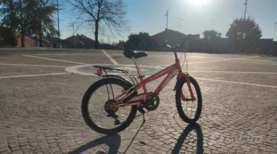 bicicletta da 20