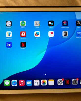iPad 7ª generazione 10,2” Wi-Fi 32 GB (2019)