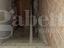 Immagine 10